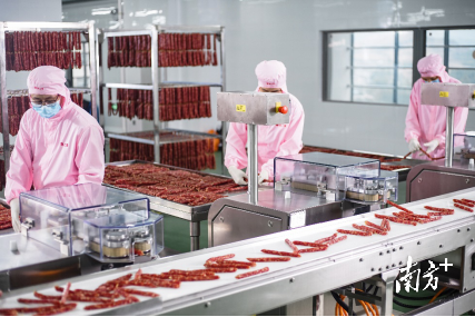 南方+ 欧志葵 拍摄