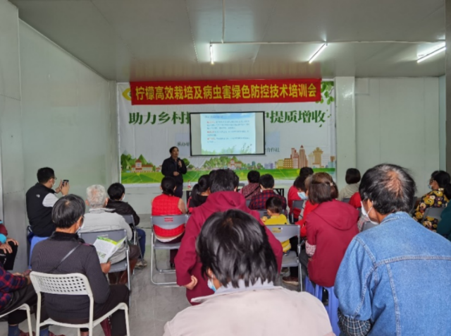 以虫治虫！绿色防控助力香水柠檬产业振兴