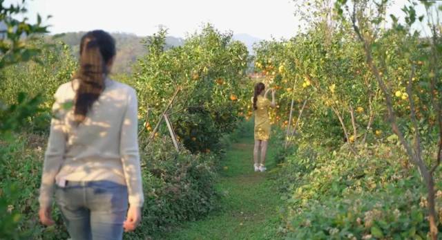 陈慧在果园与“小柑妹”互动