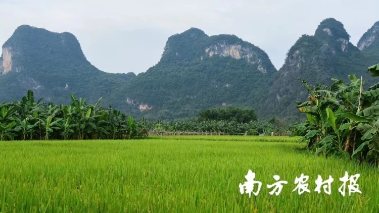 种养循环：奏响中国农业绿色发展主旋律