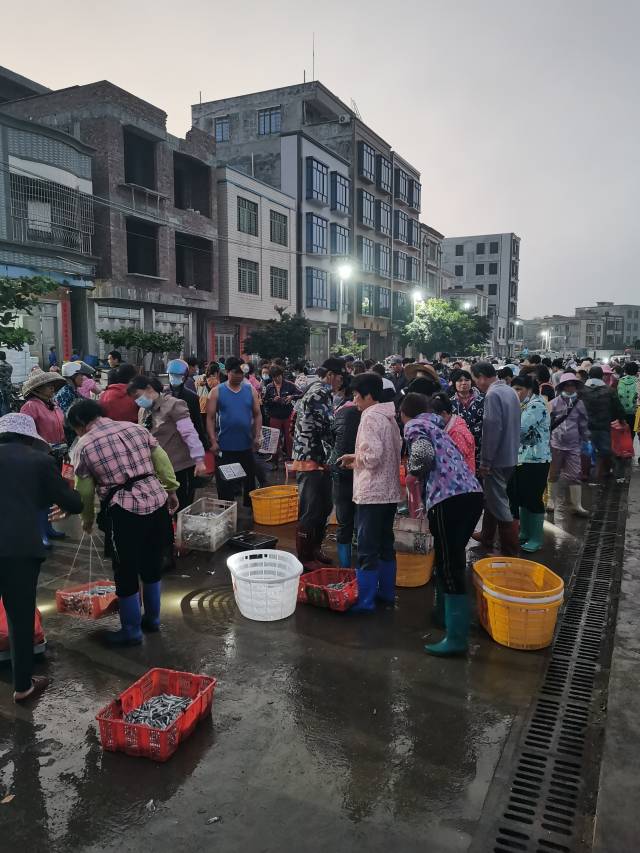 天色渐亮，“天光鱼市”逐渐散市。