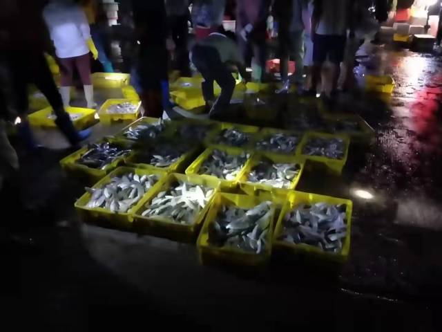 摊口上摆放着各类新鲜渔获。