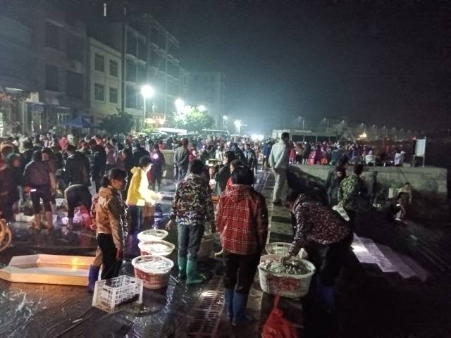 深夜，江洪镇码头上聚集了大批海产客商。