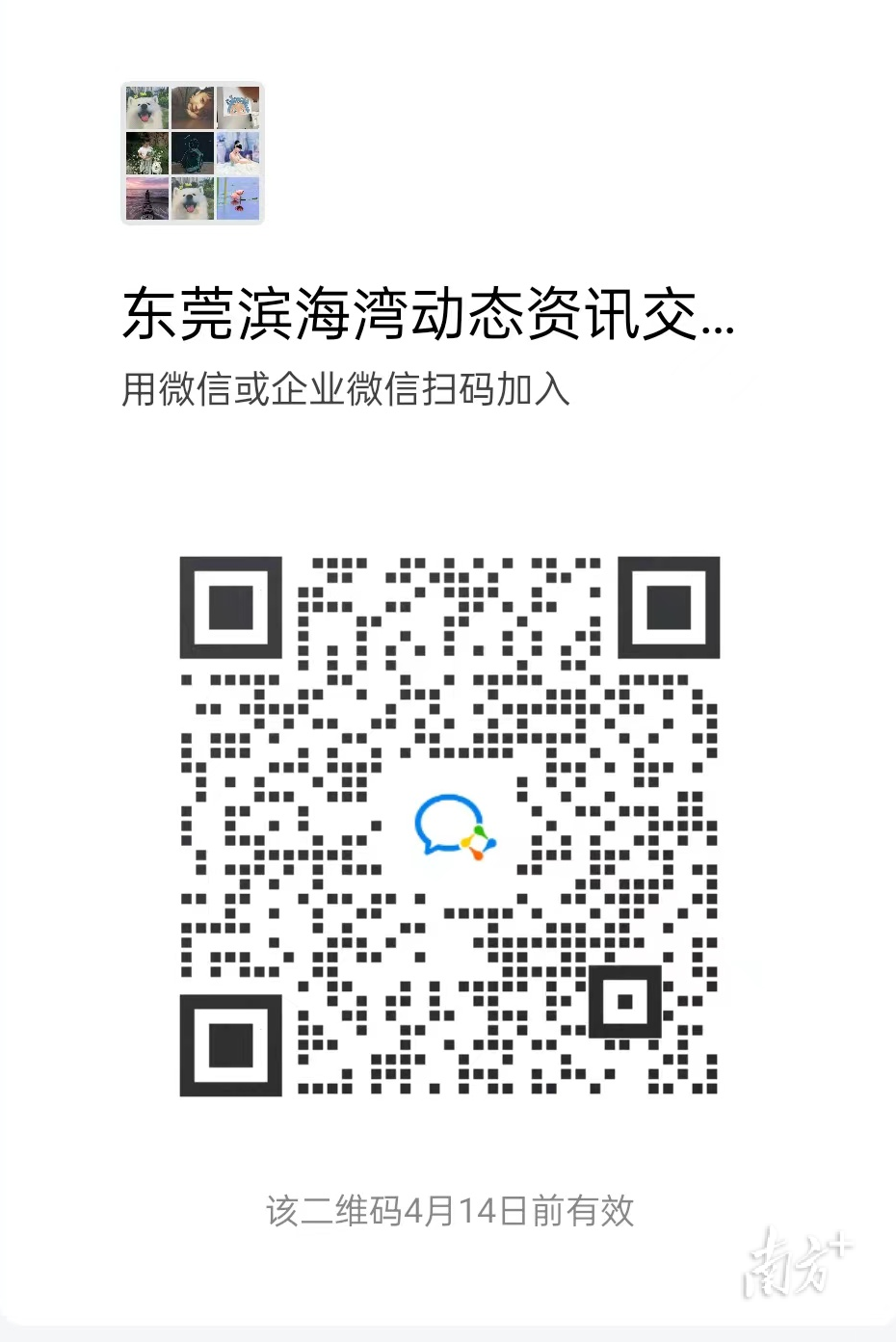 1  南方+ 郭文君 拍摄