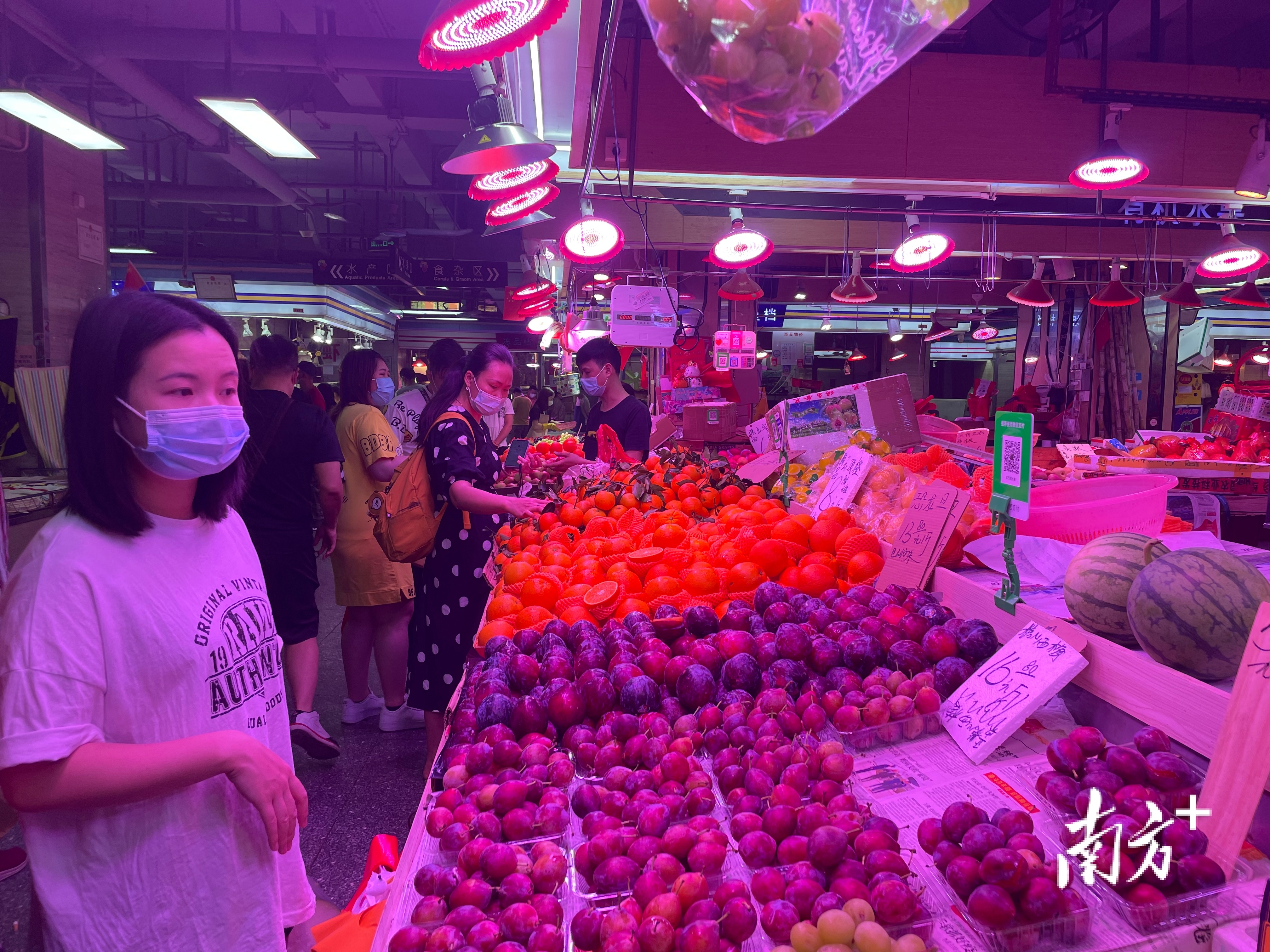 南方+ 冯艳丹 拍摄