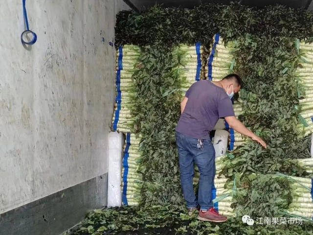 深圳贸易风云：公司形态变革与挑战