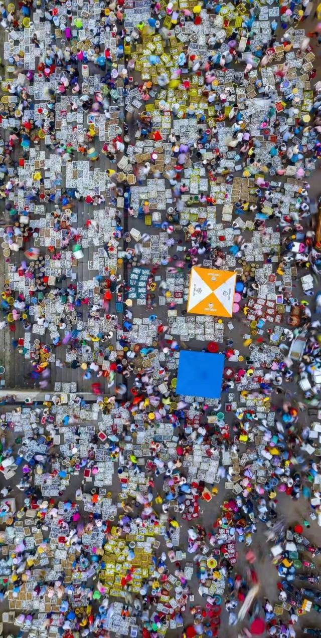 “天光鱼市”。