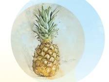 诗歌｜黄礼孩：春天，请给我们丰饶的果园（外一首）