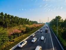 广州地铁大塘站、沥滘站、南洲站停止对外服务，海珠97个公交站点临时撤销