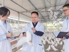 发挥金融活水优势！邮储力量“贷”动“兴宁鸽”振翅高飞