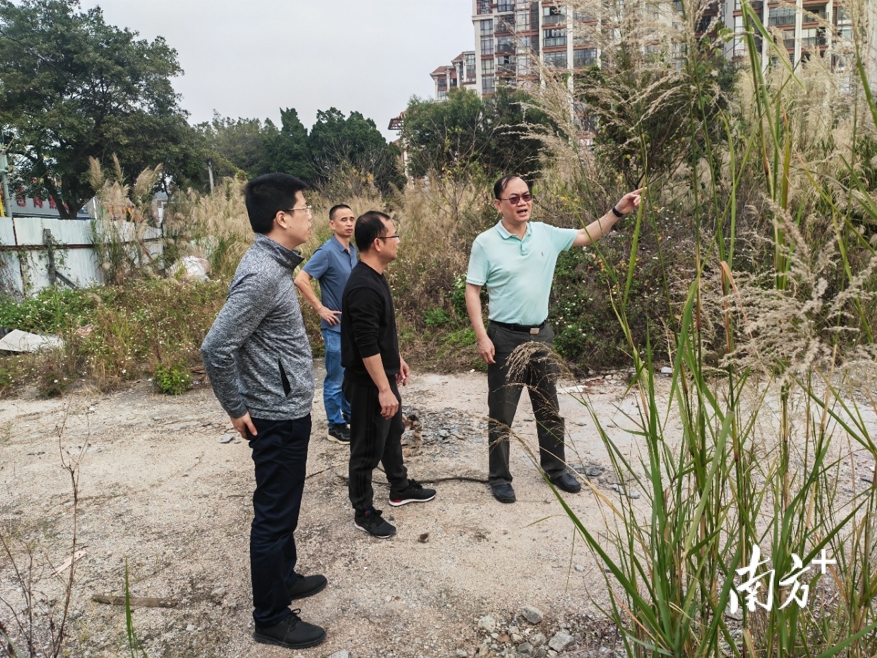 3月3日,南海组织相关部门到狮山镇横岗社区现场察看佛山西站动车运用所回迁安置地,了解相关规划内容。 3月3日,南海组织相关部门到狮山镇横岗社区现场察看佛山西站动车运用所回迁安置地,了解相关规划内容。