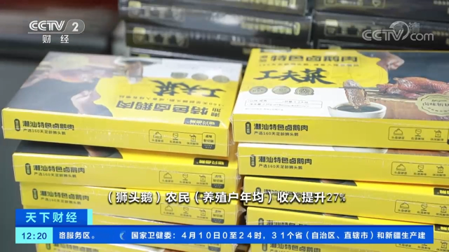 多元化的汕头澄海狮头鹅预制菜产品。