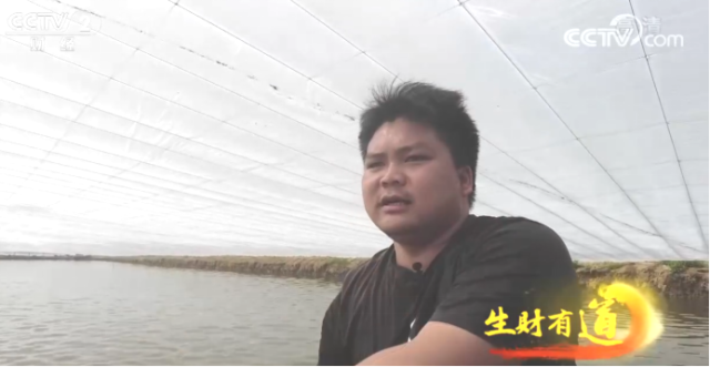 黄剑秋拥有近600亩虾池。