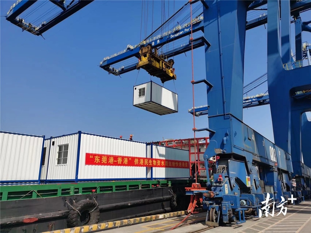 双统筹 双胜利|东莞撑企扶企有速度更有力度_南方plus_南方 