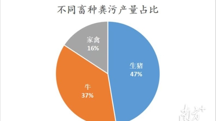 全国畜禽粪污年产量减少7亿吨，广东、四川等养殖大省力推种养结合