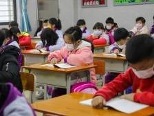 重磅！端州区小学一年级2022年公办学校报名地段划分出炉