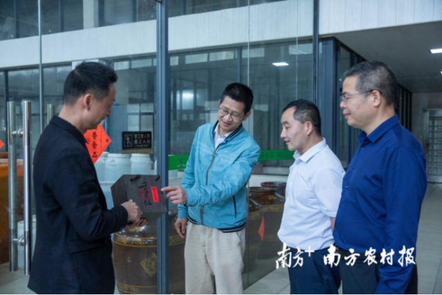 驻文祠镇工作队与廖泽冰了解老药桔生产技艺的变迁与传承。