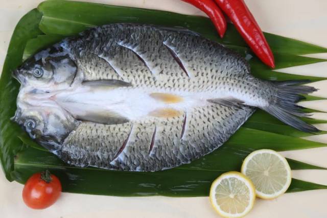 开背草鱼 开背草鱼