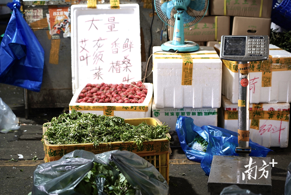 特写防范区内的江南果菜市场广州蔬菜不愁的