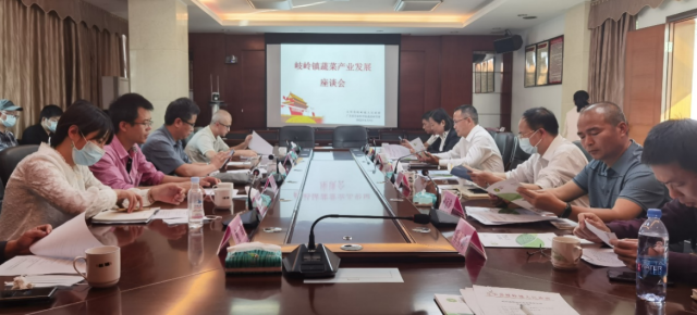 专家团与五华县岐岭镇政府及广州市番禺区驻岐岭镇帮扶工作队开展交流。