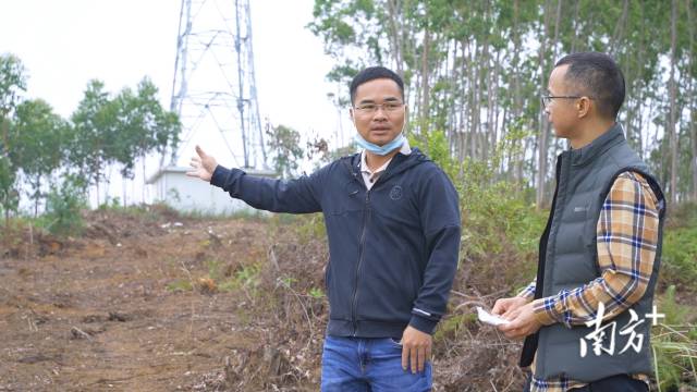 黄春华（左）与温锦君在推进“退桉种果”工作