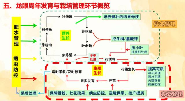 专家授课PPT部分内容 