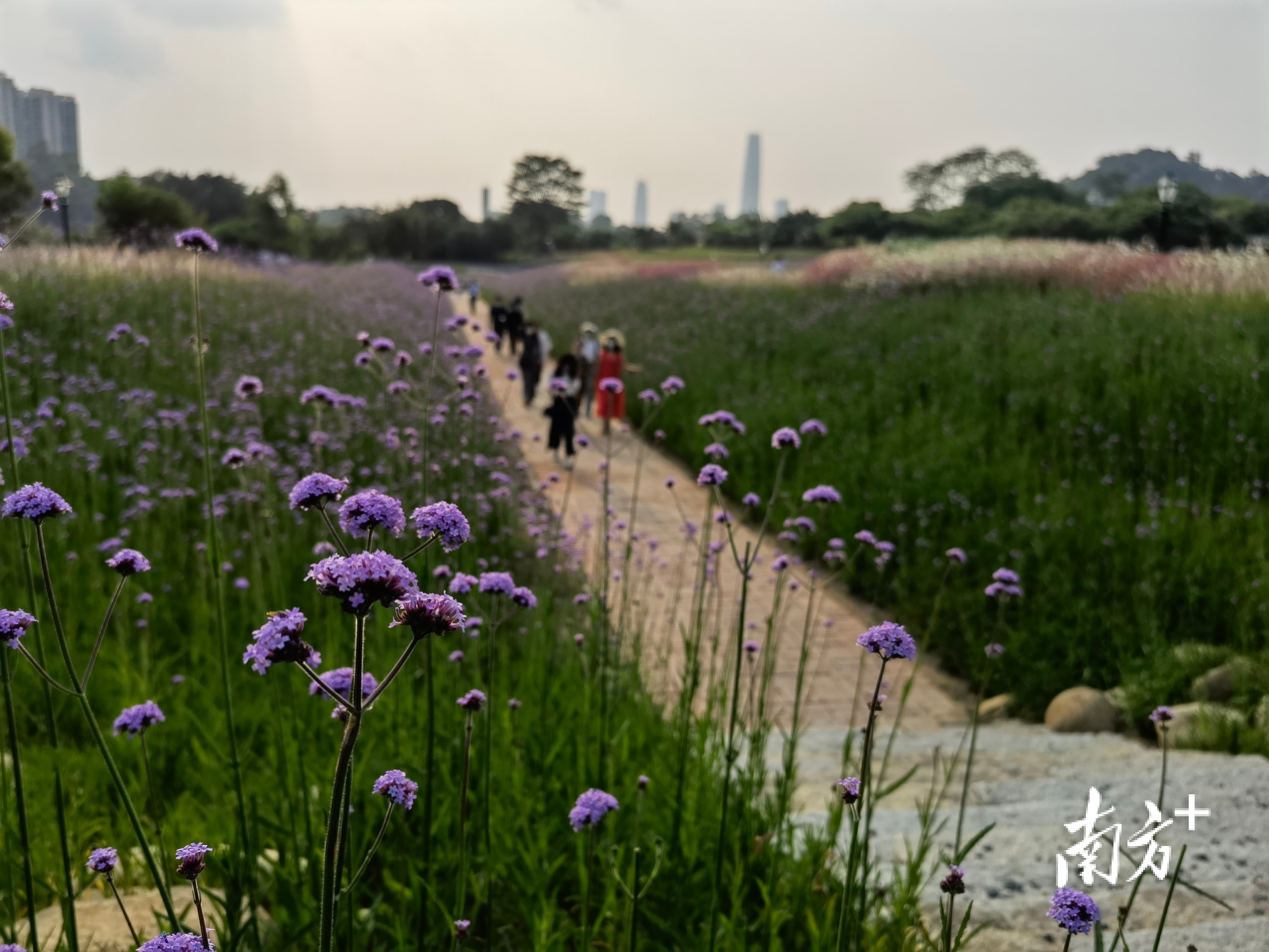 无  南方+ 刘远忠 拍摄