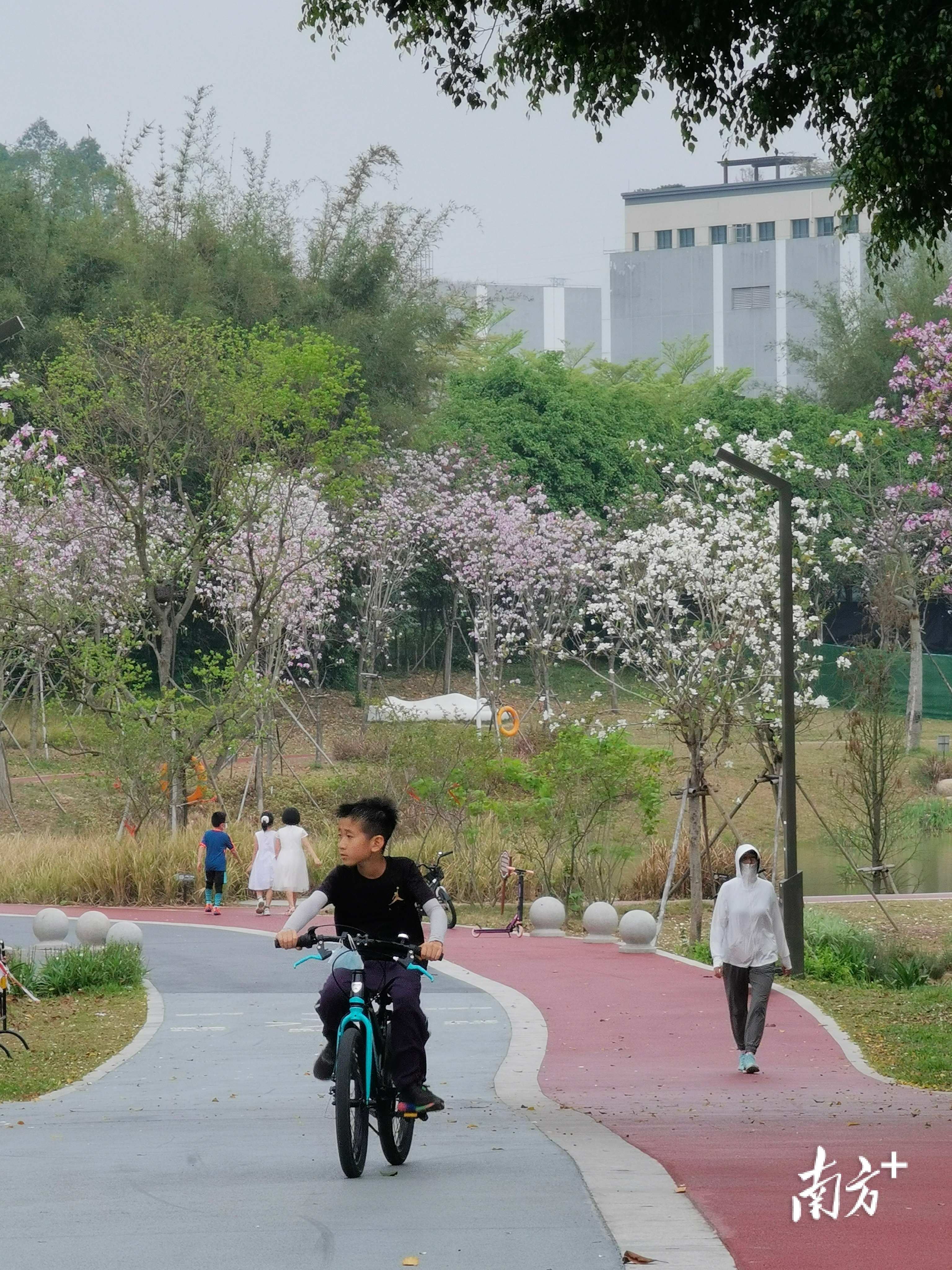 无  南方+ 刘远忠 拍摄