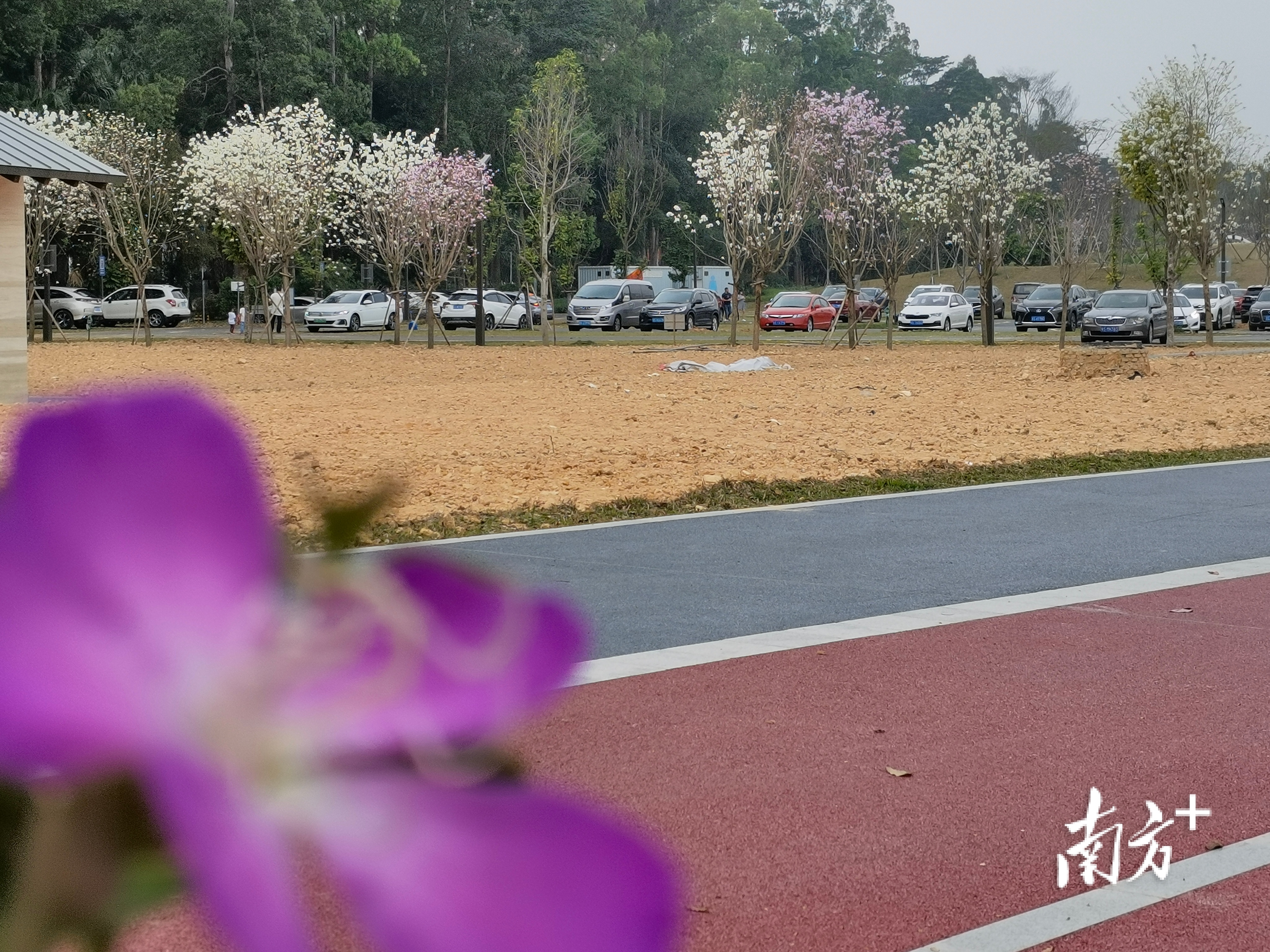 无  南方+ 刘远忠 拍摄