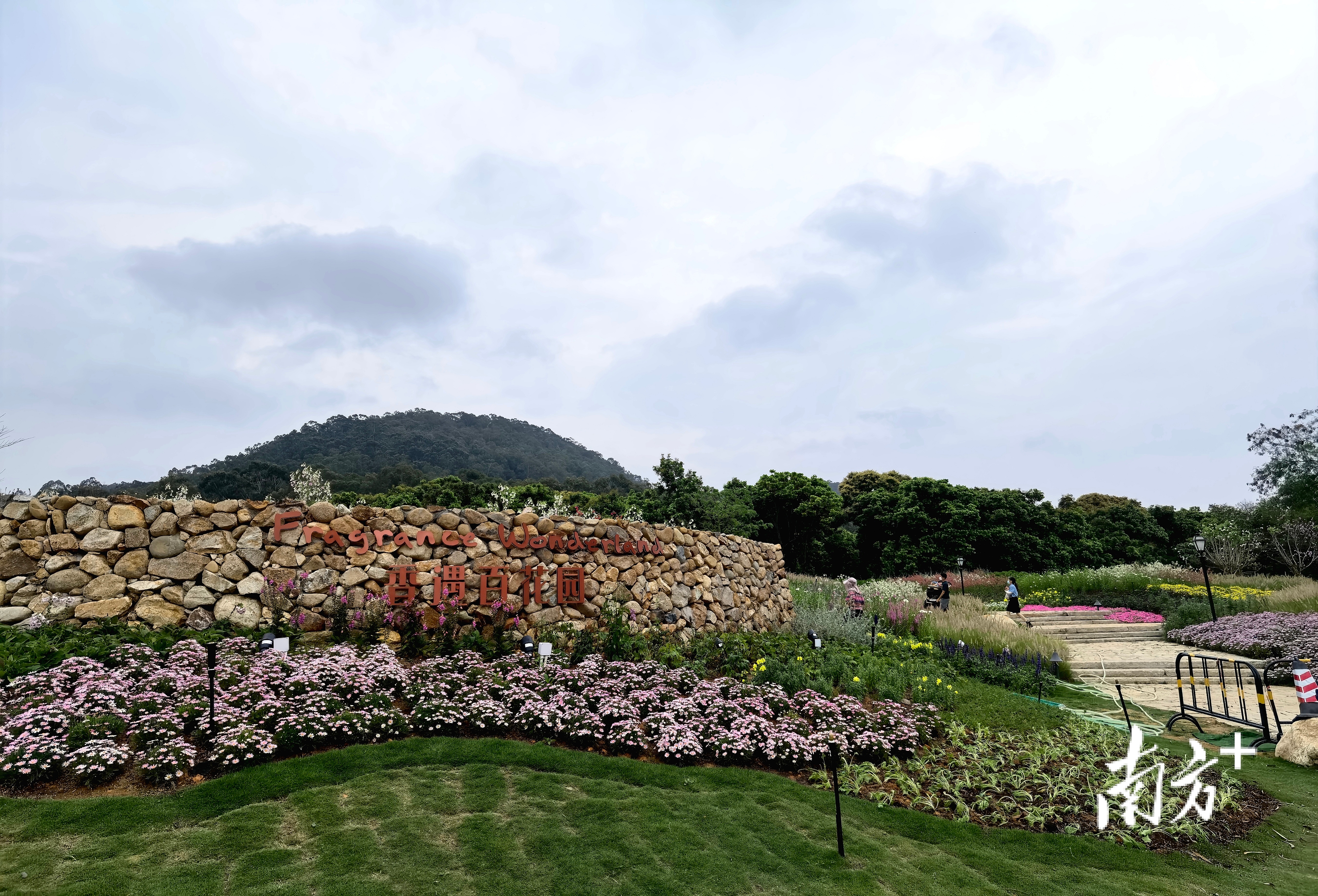 无  南方+ 刘远忠 拍摄