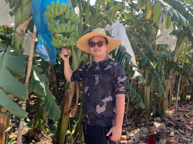 盖里农业负责人吴伟鹏