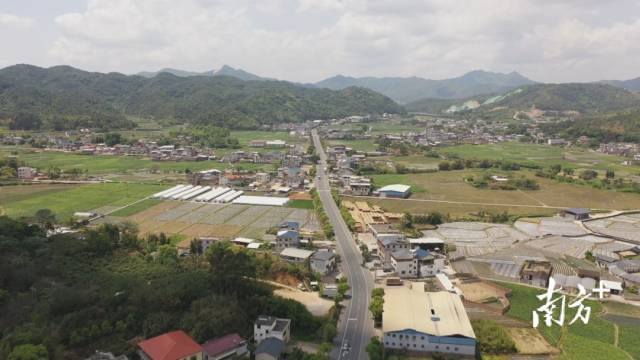 蕉岭·谈发展：驻心真帮实扶助“镇”兴