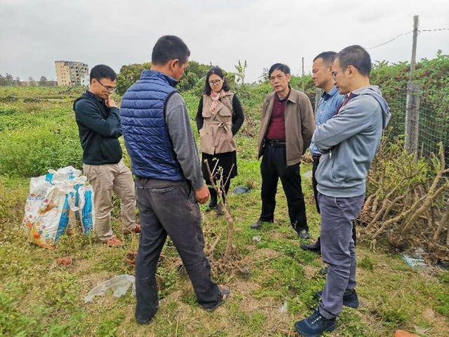 春種現(xiàn)場，一起為農(nóng)民出謀劃策