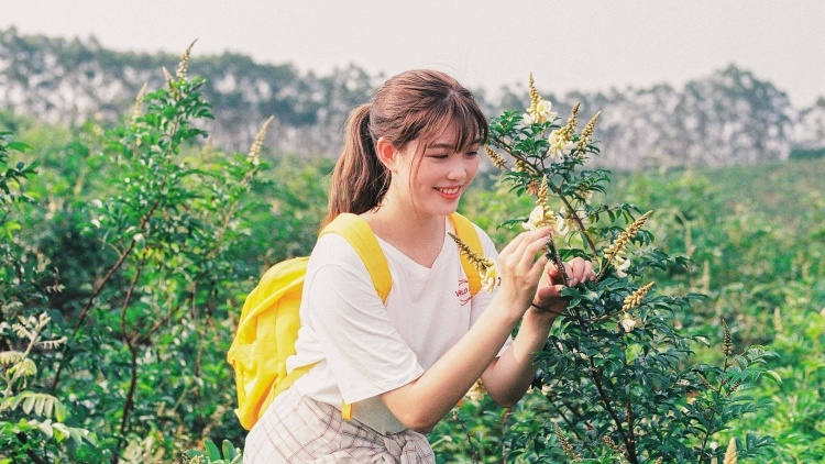 开平“父女兵”深耕大山培育有机牛大力，探索和谐共生的绿色致富路