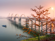 韩江观潮|赢得潮心 助力潮兴