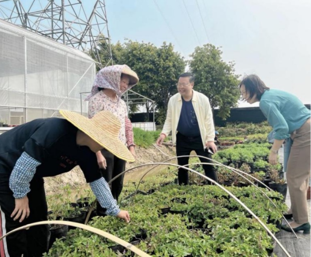 甘岗村支书许晓丽、利泰智农创始人罗骏生与育苗师交流工作情况