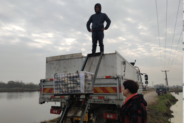 南方农村报 莫景文 拍摄