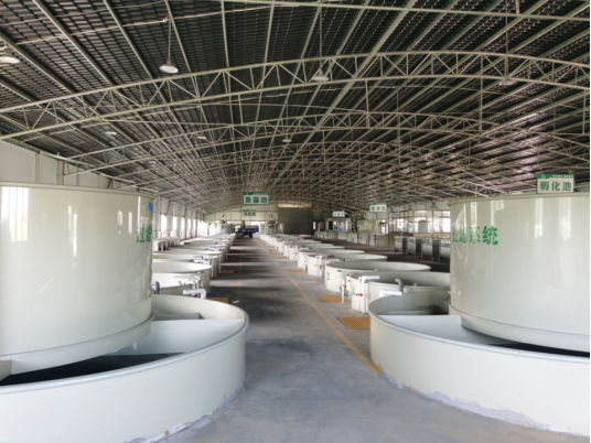 诚一大宗淡水鱼孵化育苗车间