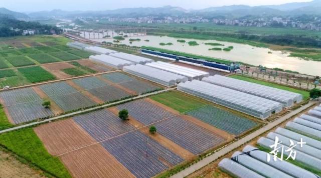 梅州五华斥资2亿，推进省级蔬菜产业园建设