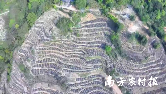 韶关市乳源瑶族自治县瑶药产业园种植基地。资料图片