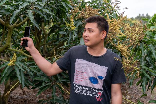 种植户李树宏。