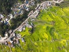 老区新貌 | 梅州：老区展新貌 照亮振兴路