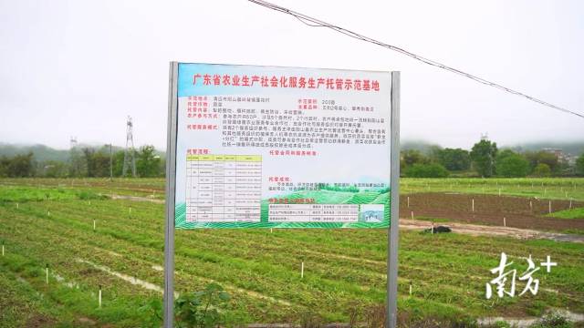 阳山县建有3个省级农业生产托管示范基地