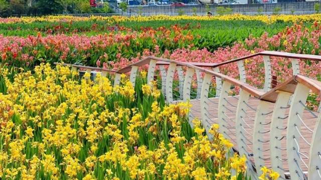 深圳版二十四节气｜谷雨：养肝为先，多吃健脾祛湿的食物