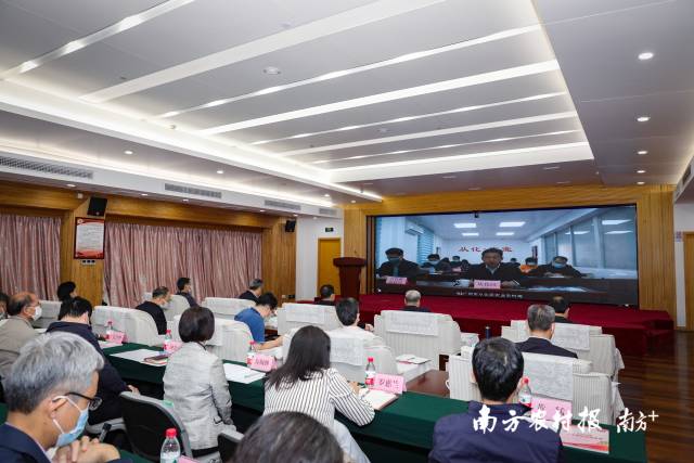 “四项工作”引领销售，从化“马力备足”迎接荔枝销售季