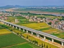 博罗泰美镇镇长赵谊莉：人人都是营商环境，个个代表泰美形象