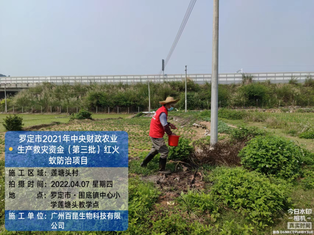 通讯员 云浮 供图