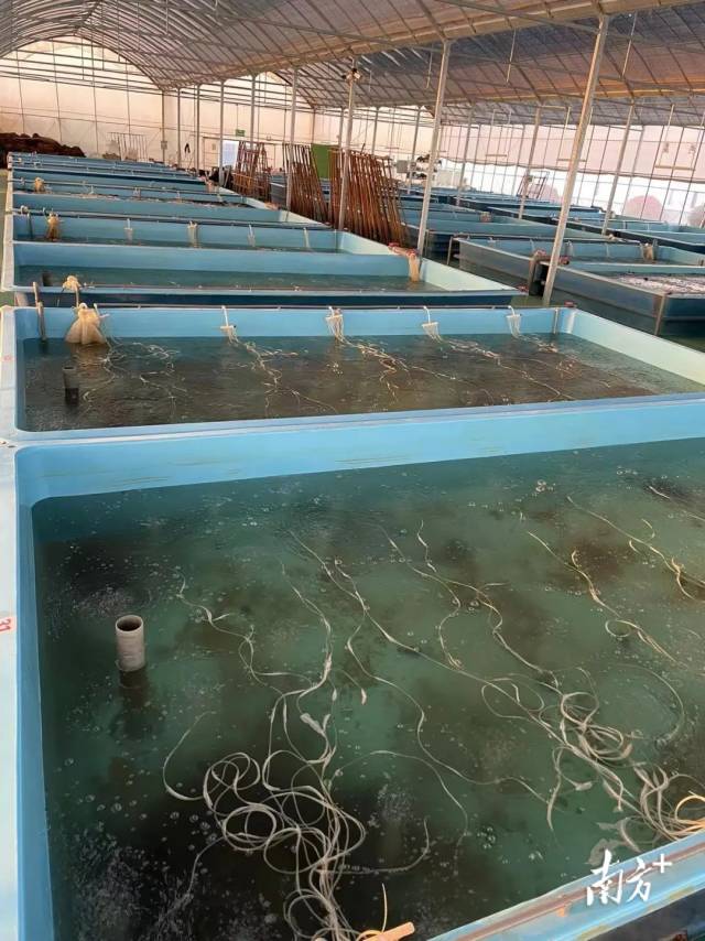 通訊員 受訪者提供 供圖
