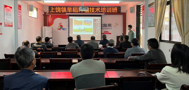 科技驻镇进行时丨广东农科院精准帮扶饶平上饶镇春耕春种