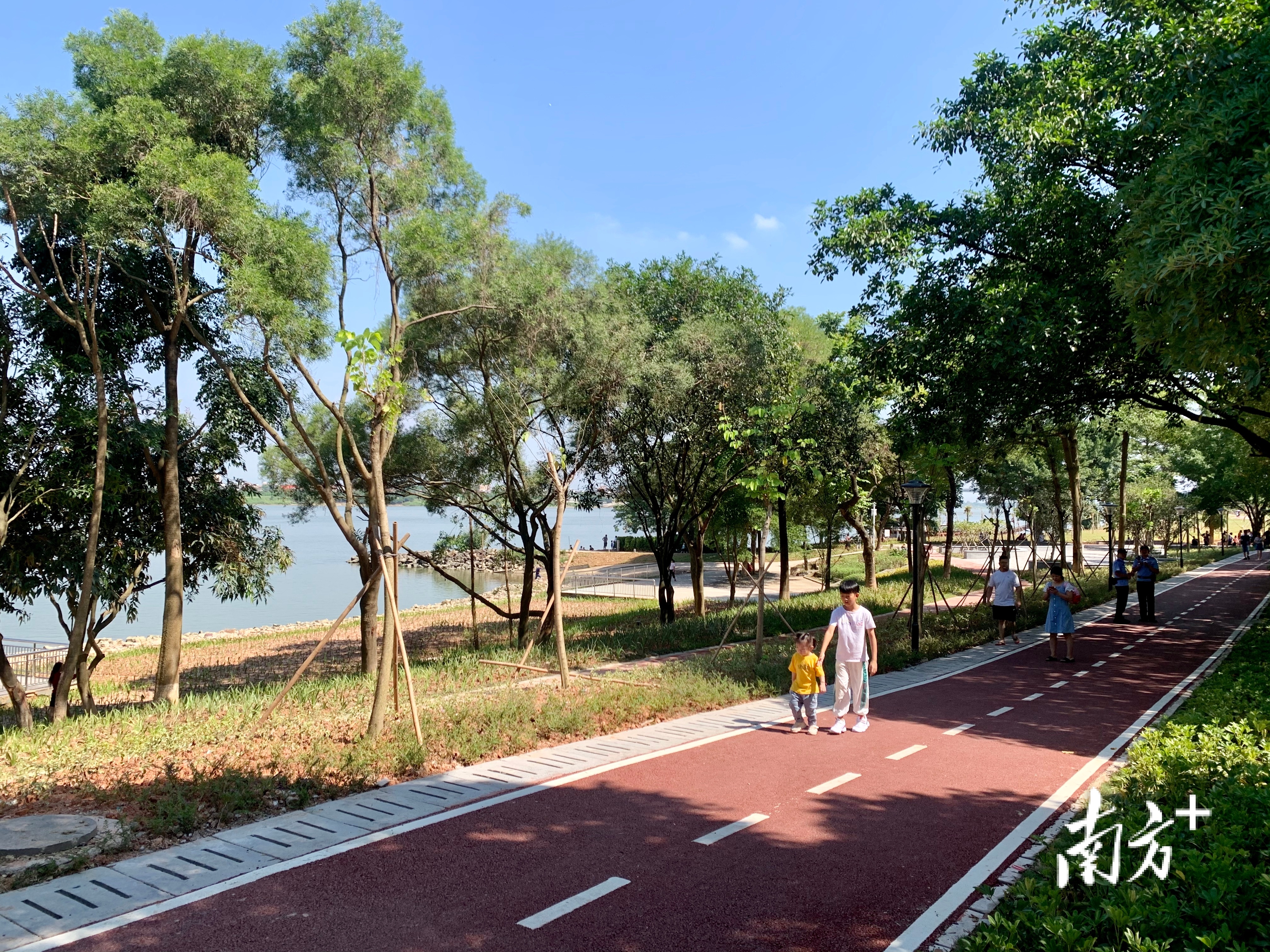 获省级奖励东莞这条万里碧道真好看